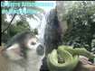Education écologique ou simple Zoo ? La serre Amazonienne de Montpellier