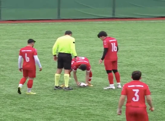 Heurtée par un ballon en plein match, une mouette est sauvée par un footballeur grâce à un massage cardiaque