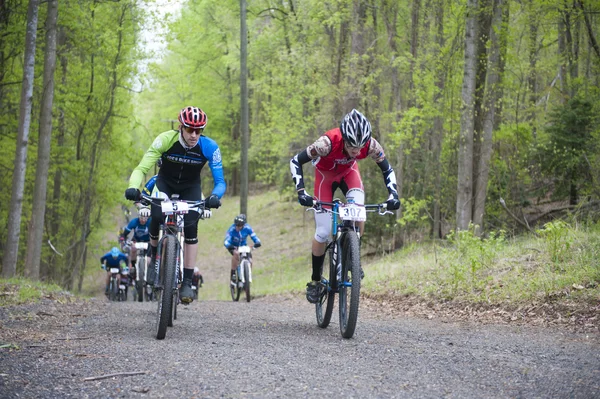 Image by Pfc. Terry Miller