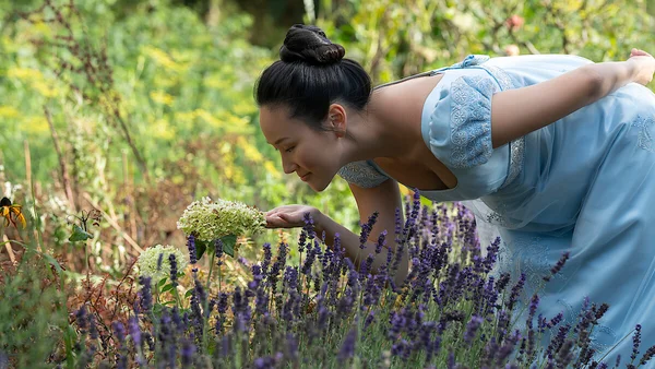 Bridgerton : romance, scandales et Histoire