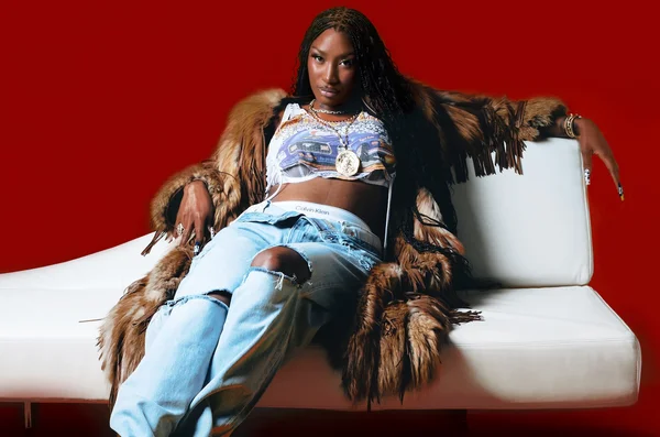 Aya Nakamura, fierté française et icône mondiale de la musique