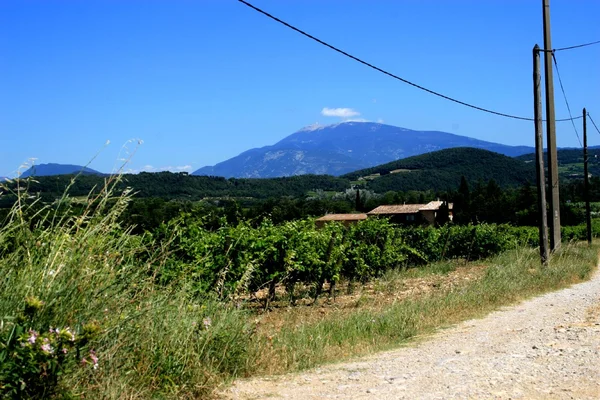 Vignes françaises au crépuscule avec un tracteur en arrière-plan illustrant l'arrachage