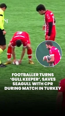 Un joueur de football secourt une mouette sur le terrain lors d'un match en Turquie