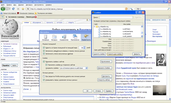 Screenshot of the cookie management window in Firefox 3.0.
