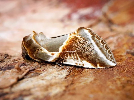 Image by Ben Sale from UK