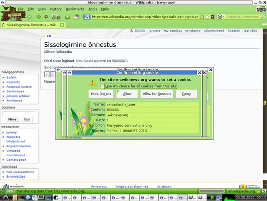 View of multiple cookies in the Iceweasel browser interface.
