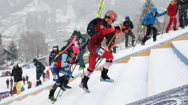 Snow-covered mountain landscape with calm lake surrounded by evergreen trees in French Alps.