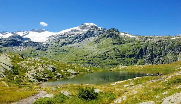 Paysage alpin rocheux avec un lac et des fleurs sauvages violettes au premier plan