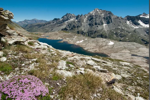 Carte de la région Rhône-Alpes montrant les départements de la Savoie, Isère et Ain