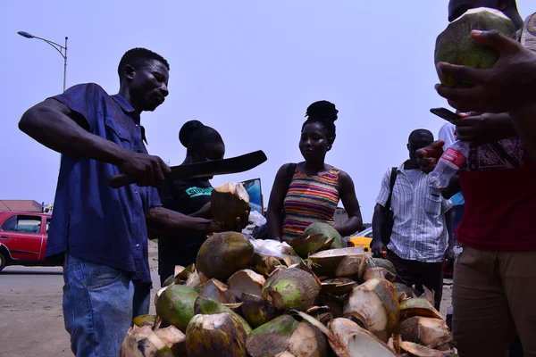 Comparaison entre une bouteille de vin traditionnelle et des boissons modernes sans alcool