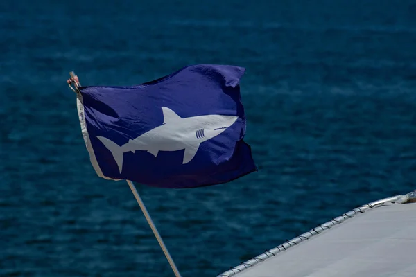 Drapeau de signalisation de présence de requin flottant au-dessus de l'océan bleu.