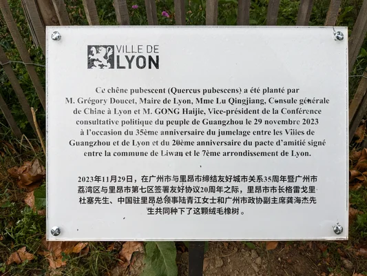 Façade d'un hôtel de ville avec des drapeaux français pour les municipales 2026