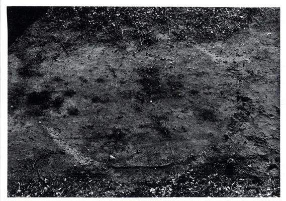 La trace au sol circulaire photographiée sur les lieux de l'observation d'OVNI