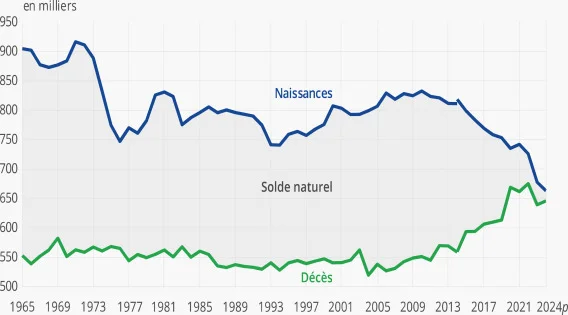 Graphique montrant l'évolution des naissances et du solde naturel en France entre 1965 et 2024