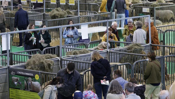 Salon de l’Agriculture : fréquentation en chute libre sur fond de crise et d’absence des bovins - France 24