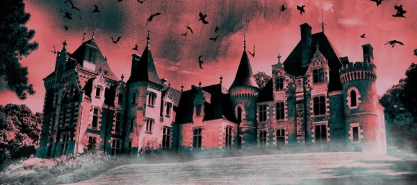 Illustration d'un style gothique montrant un château sous un ciel rosé avec des oiseaux.