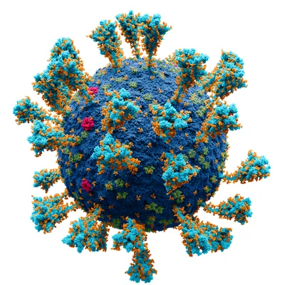 Illustration scientifique de la structure atomique externe du coronavirus SARS-CoV-2, responsable du COVID-19.