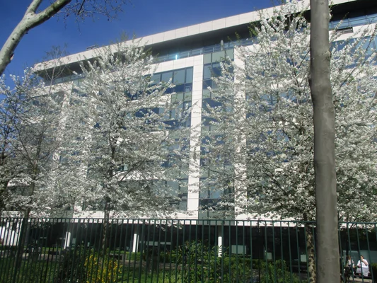 Un immeuble moderne abritant des services de la DGSI, entouré d'arbres sous un ciel couvert.