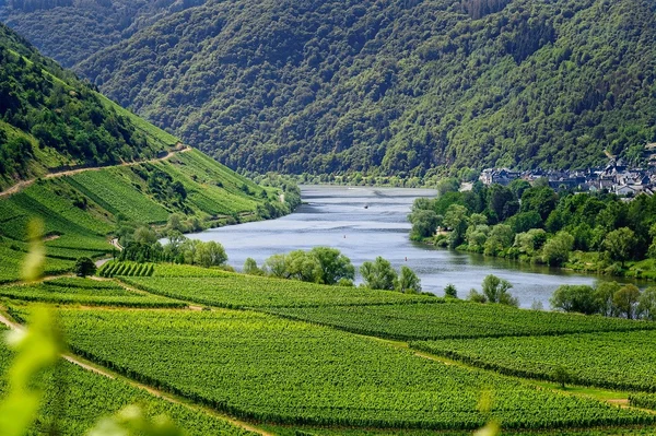 Paysage de vallée fluviale avec vignobles en terrasses et un village au milieu des collines boisées