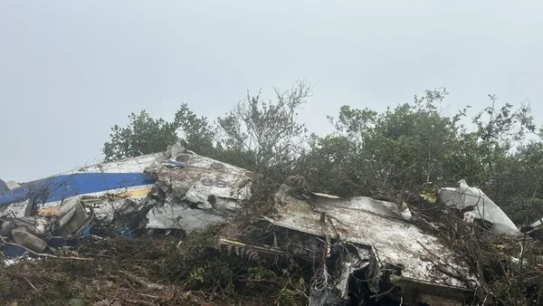 Fuselage bleu et blanc d'un avion détruit au milieu des arbres.