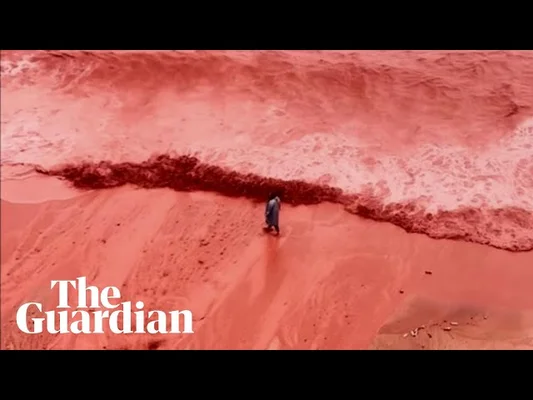 Deux individus équipés de masques et de blouses face à un panache de fumée sombre.
