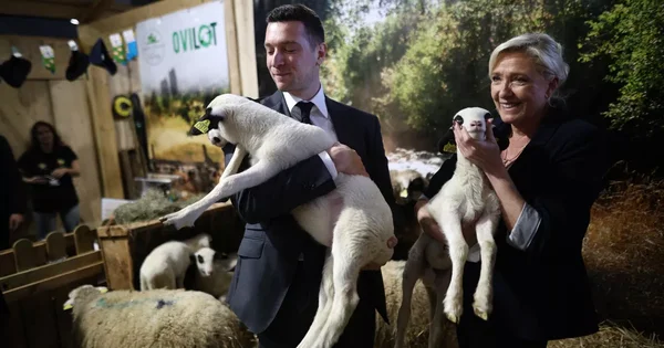 Marine Le Pen et Jordan Bardella tenant des agneaux lors de leur visite au Salon de l'Agriculture.