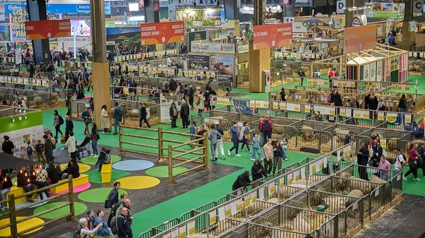 « Un marché en Corrèze, le chiffre est le même avec une place à 6 € ! » : des producteurs déçus au Salon de l’agriculture