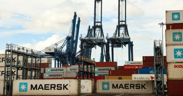 Conteneurs Maersk empilés au premier plan avec des grues de port en arrière-plan.