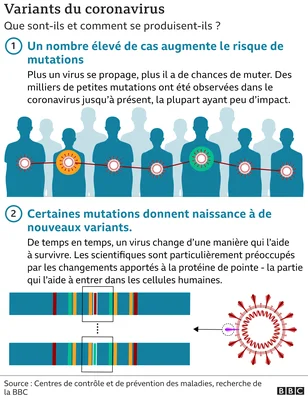 Schéma pédagogique expliquant comment les variants du coronavirus émergent et se propagent.