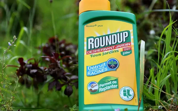 Bouteille de Roundup 3 Plus désherbant jardin installée près de plantes en pleine terre.