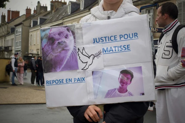 Une personne tient un panneau de protestation 'JUSTICE POUR MATISSE' orné d'une loutre violette et d'une colombe.
