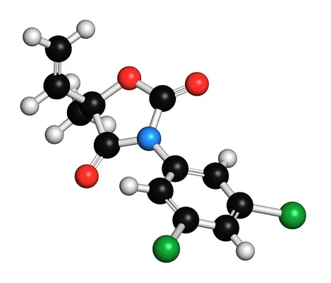 Modèle de structure moléculaire 3D de la vinclozoline.