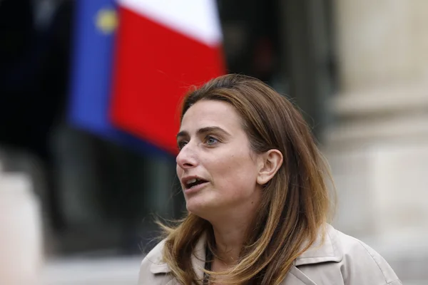 Marine Tondelier devant un drapeau français en arrière-plan.