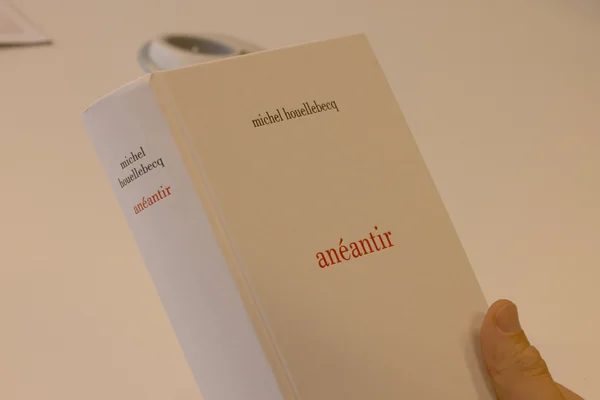 Une main tient le livre Anéantir de Michel Houellebecq, le nom de l'auteur étant visible.