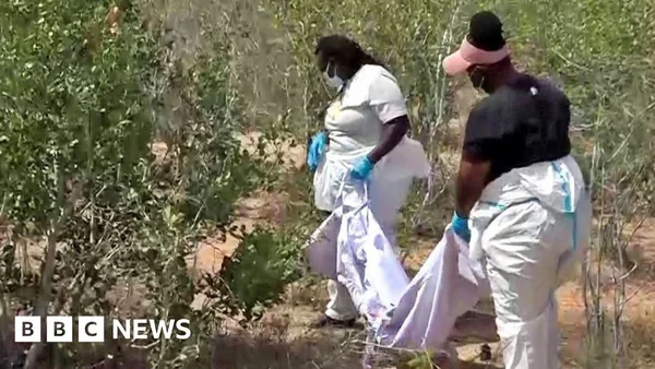 Des enquêteurs en combinaisons blanches transportent des sacs dans la forêt.