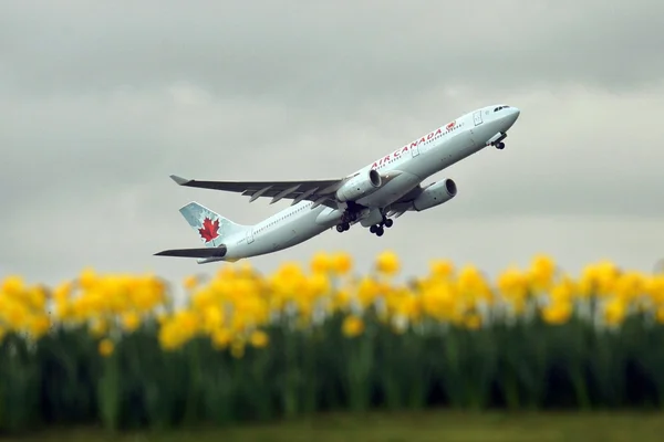 Décollage d'un avion Air Canada au-dessus de fleurs.