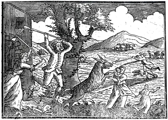 Représentation de la Bête du Gévaudan publiée dans la revue suisse Le Messager boiteux en 1765.