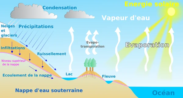Schéma pédagogique du cycle de l'eau montrant l'infiltration et le ruissellement.