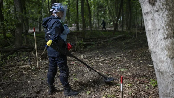 Un véhicule des services d'urgence stationné dans une zone forestière.