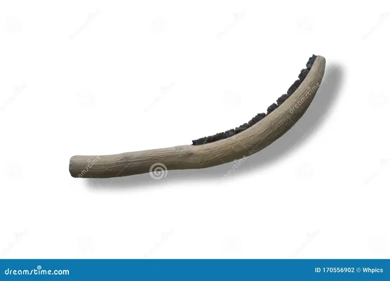 Fauche néolithique incurvée fabriquée avec des lames de silex et un manche en bois.