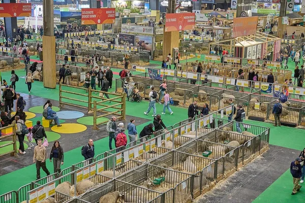 Le Salon de l'agriculture à Paris s'achève marqué par une baisse de la fréquentation et l'absence inédite de bovins