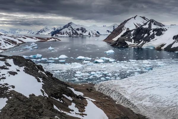 Des icebergs dérivant près d'un glacier dans l'Arctique ou l'Antarctique.