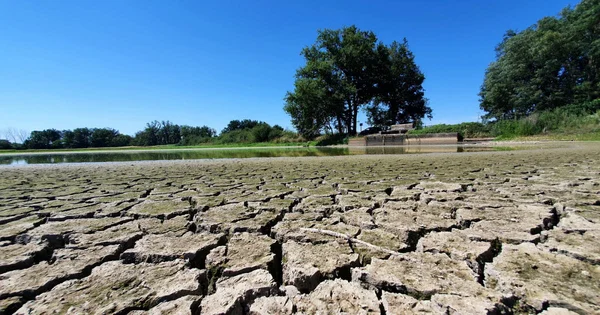 Terre desséchée et fendillée illustrant l'impact de la sécheresse.