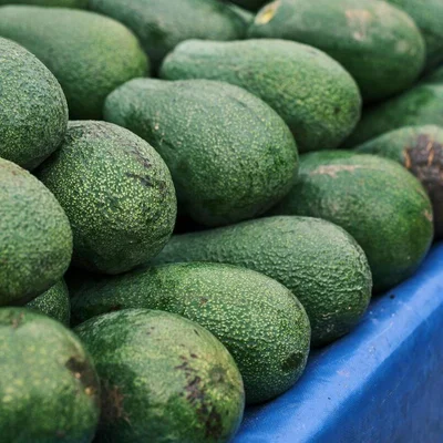 Des avocats contaminés au cadmium présentés dans un bac bleu.