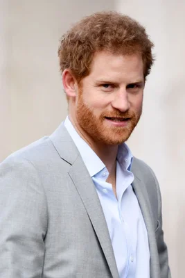 Portrait officiel du prince Harry, duc de Sussex.