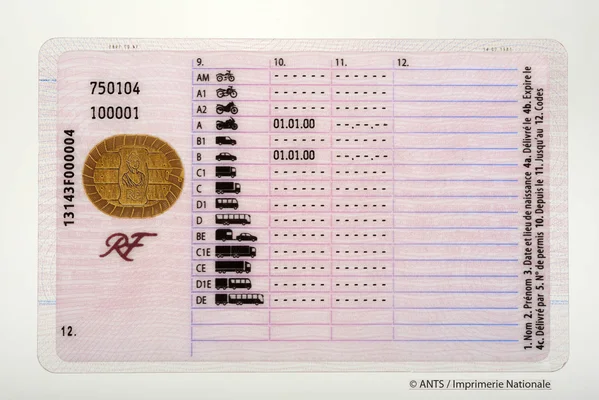 Verso du spécimen de permis de conduire français avec les catégories de véhicules et l'emblème RF.