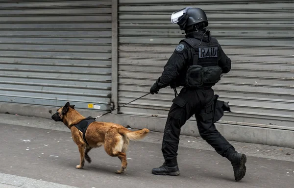 Un chien spécialisé de la police et un agent du RAID lors d'une opération.