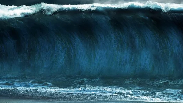 Connaissez-vous la différence entre un tsunami et un raz-de-marée ? | TF1 Info