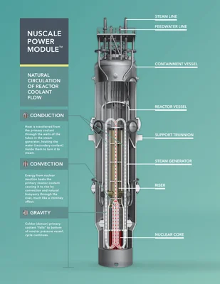 Infographie d'un petit réacteur modulaire (SMR) de NuScale Power.