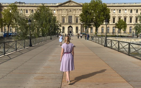 Le Pont des Arts et l'Institut de France à Paris.